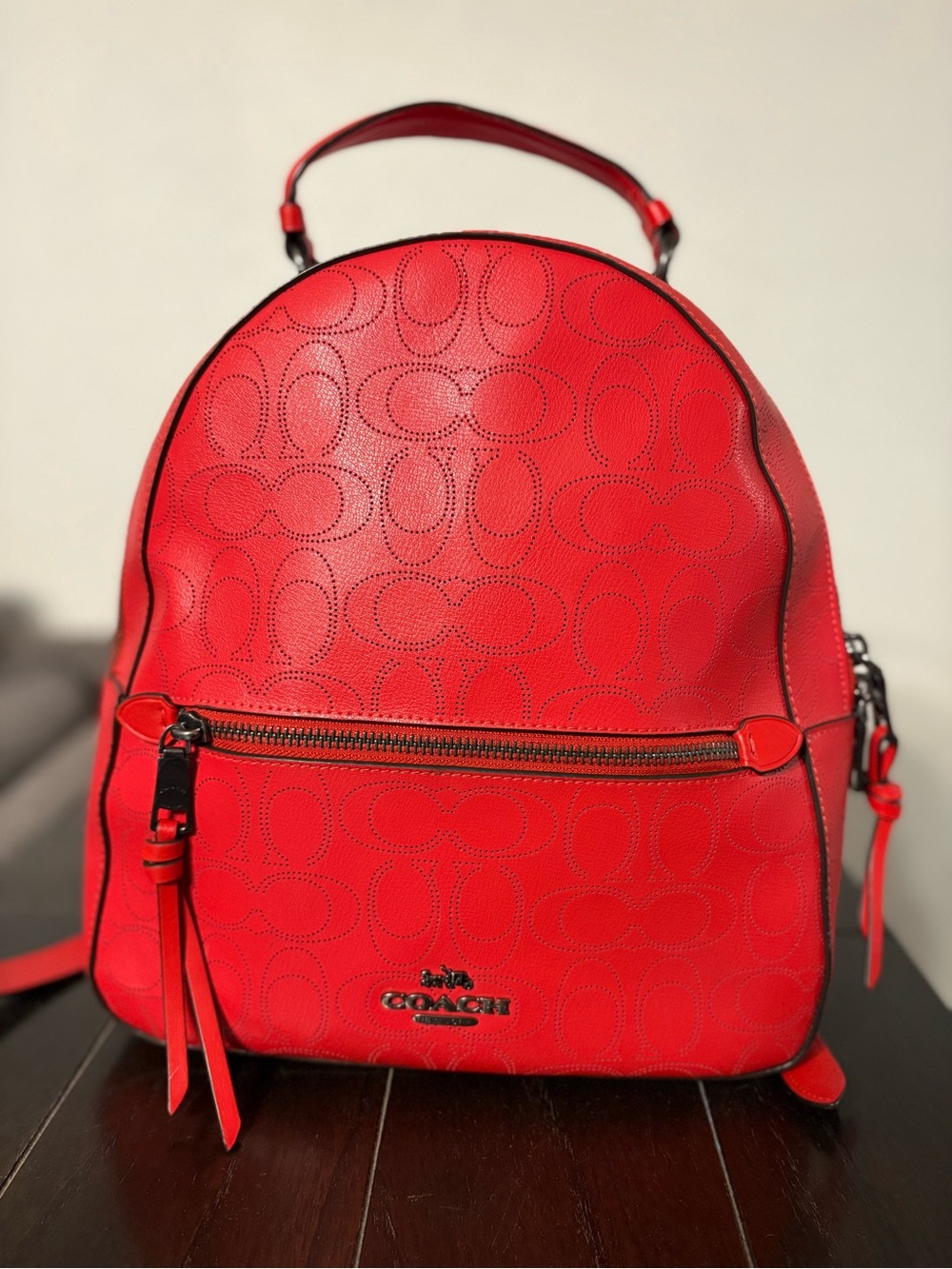 COACH Leather Interior Patch in Brick Red